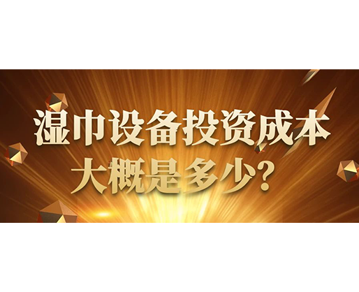 濕巾設(shè)備投資成本大概是多少？