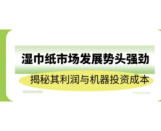 濕巾紙市場(chǎng)發(fā)展勢(shì)頭強(qiáng)勁，揭秘其利潤(rùn)與機(jī)器投資成本